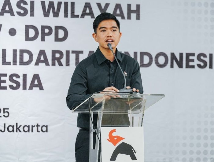 Konsolidasi Struktur PSI