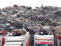 Dilema PSEL Makassar