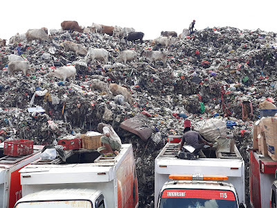 Dilema PSEL Makassar