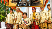 Jokowi Kepala Kerbau