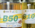 B50