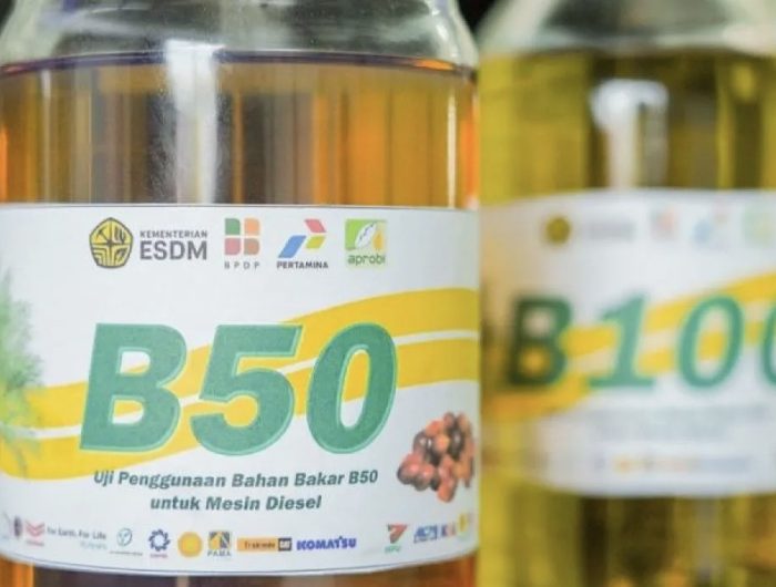 B50